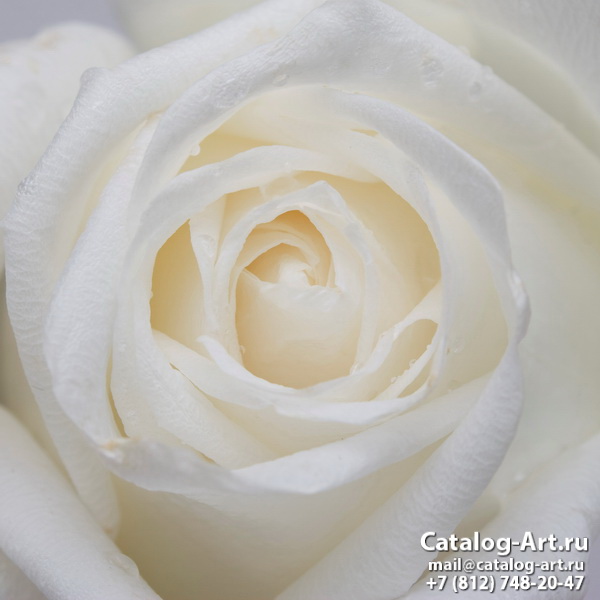 Натяжные потолки с фотопечатью - Белые розы 48